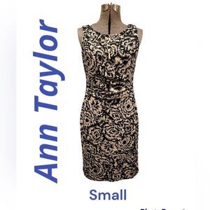 Ann Taylor black & cream colored drop waist floral tunic dress-Size Small